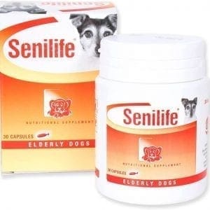 Senilife for elderly dogs