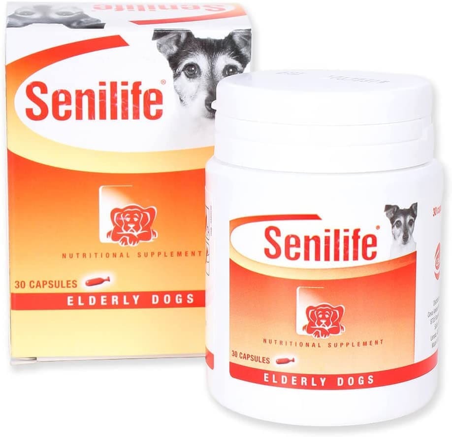 Senilife for elderly dogs